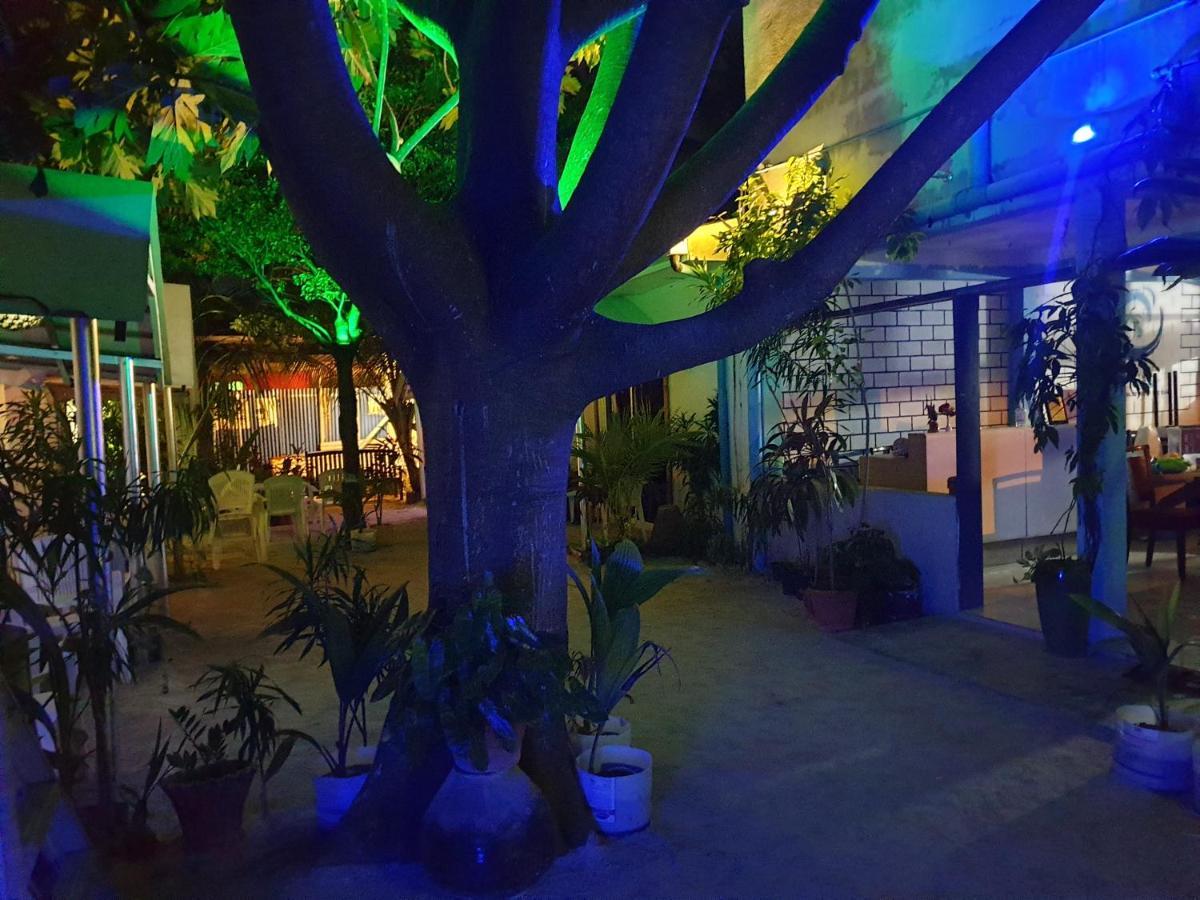Maafushi View Hotell Exteriör bild
